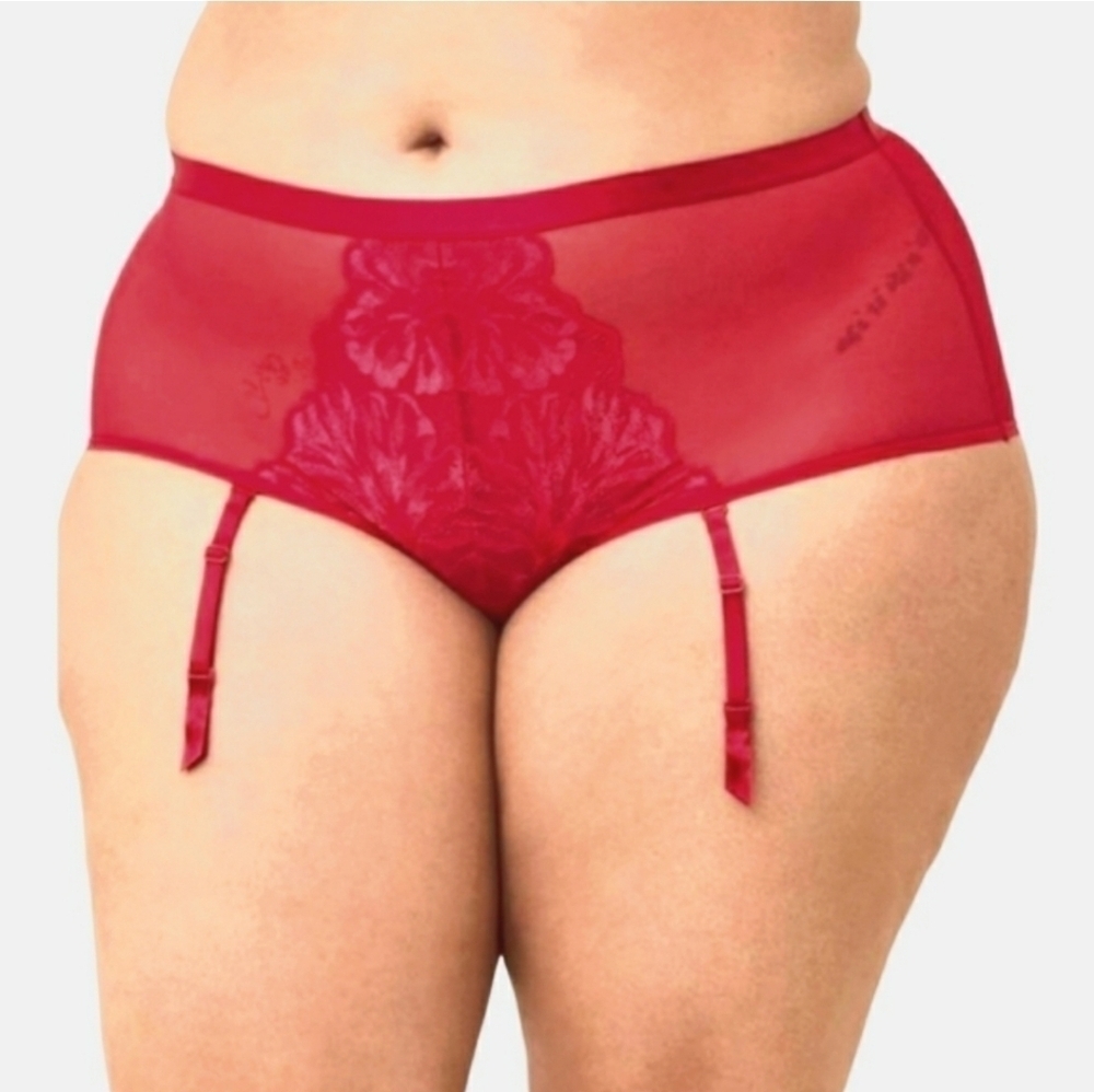 Torrid Brief Shimmer Panty Red Removable Garter  NWT Boudoir
